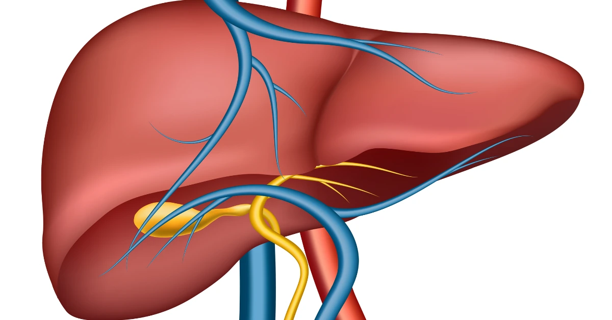Liver Treatment