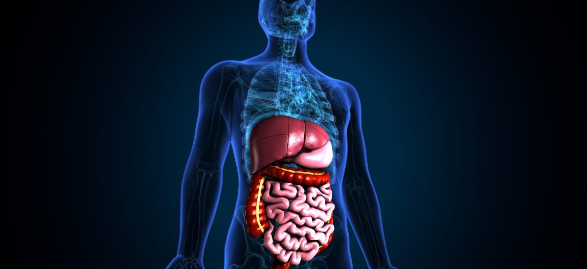 Irritable Bowel Syndrome